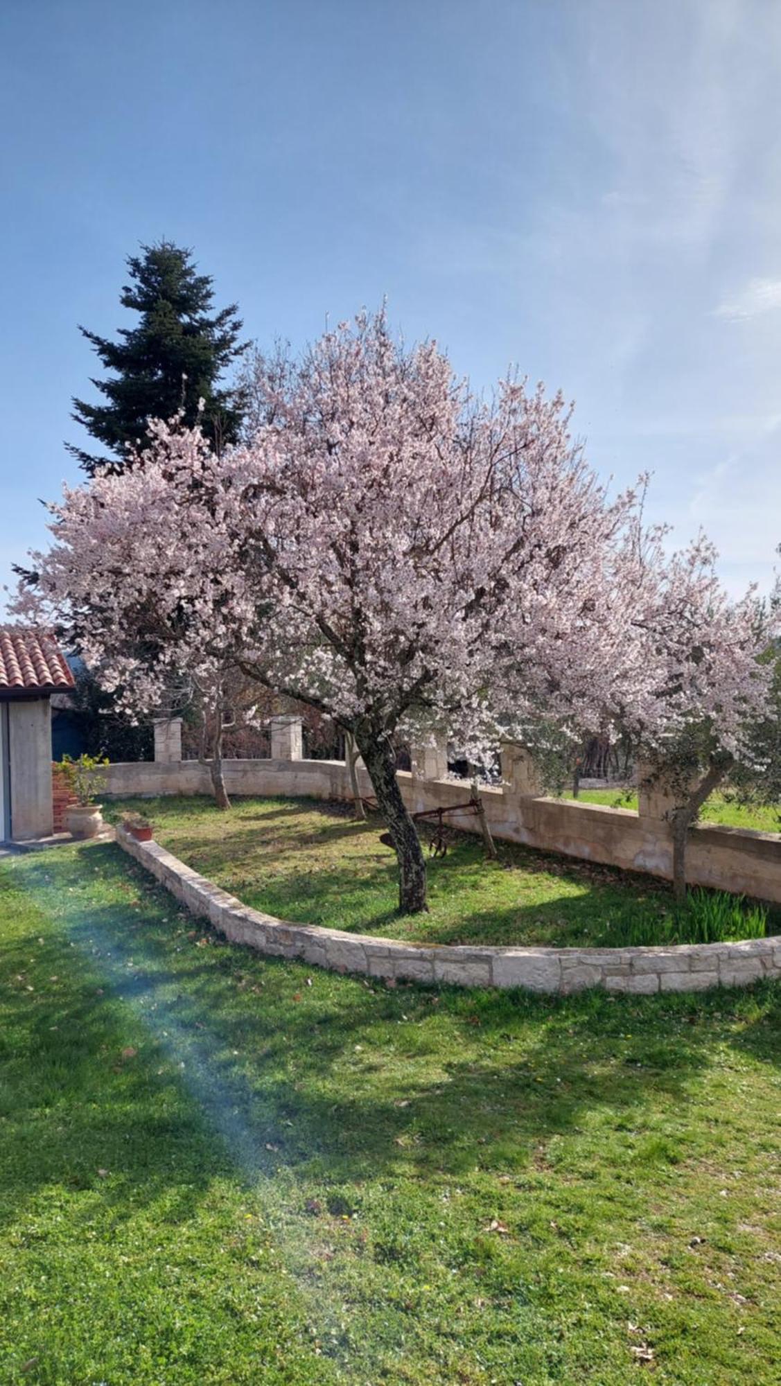 Casa Mandula Villa Rakotule Exterior photo